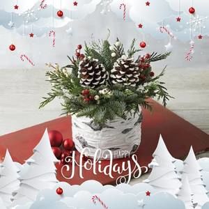 Meet your Posher, Karen